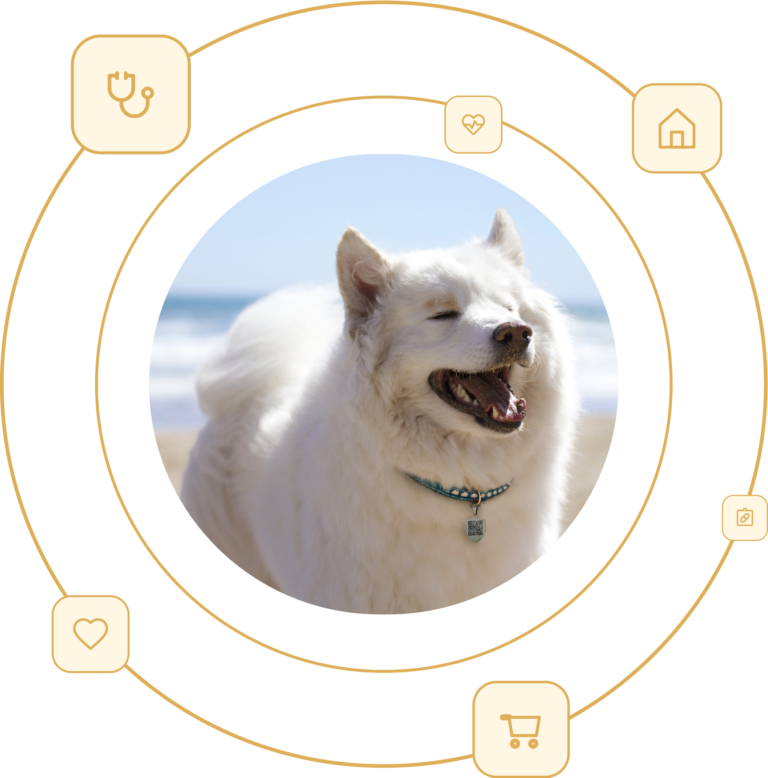 4Pets Ecosistema Colega