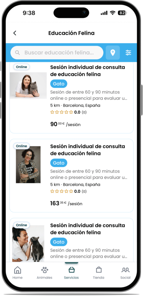 4Pets Antrozoologia catsitter educadora felina