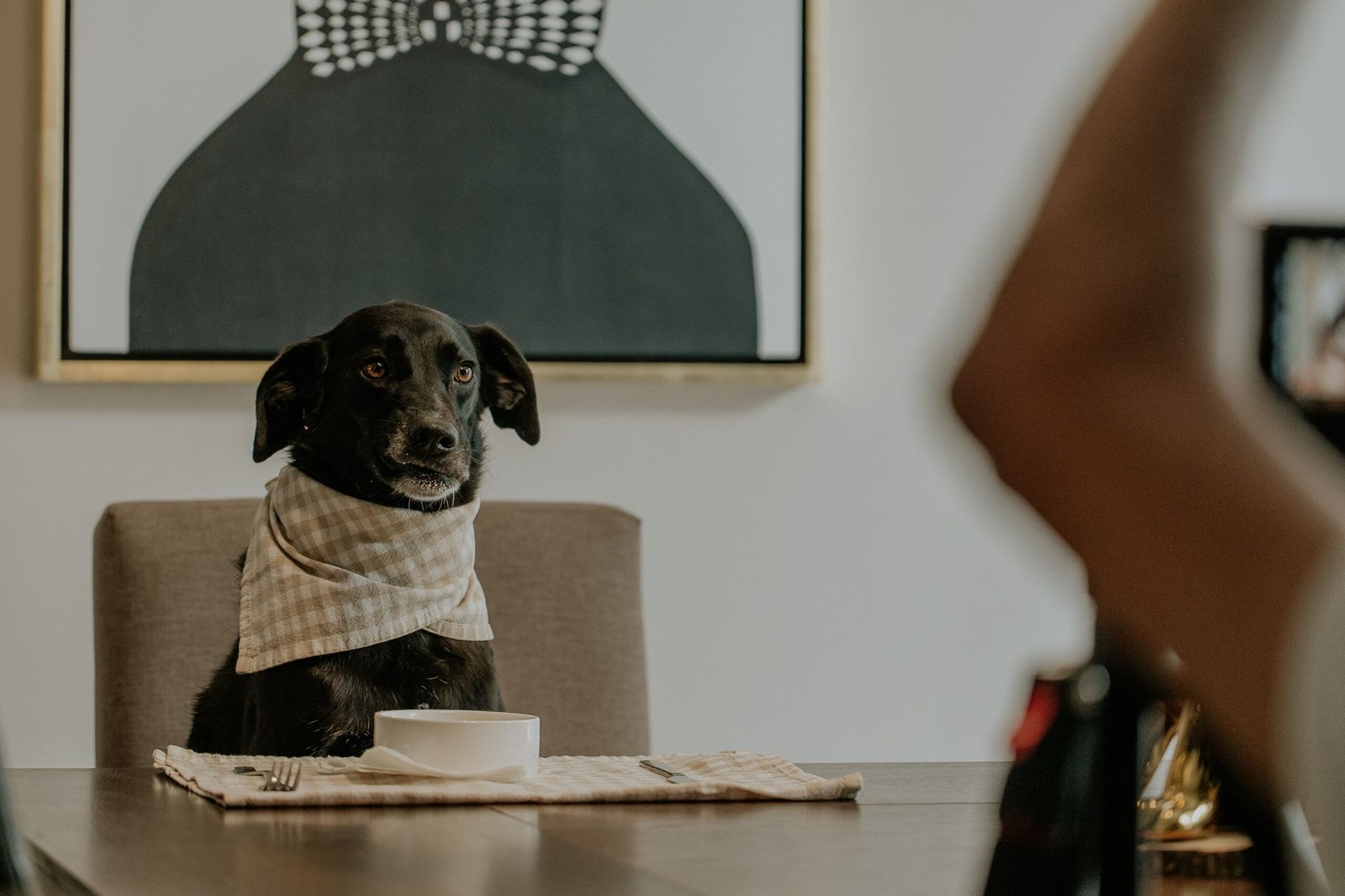 Perro sentado en la mesa