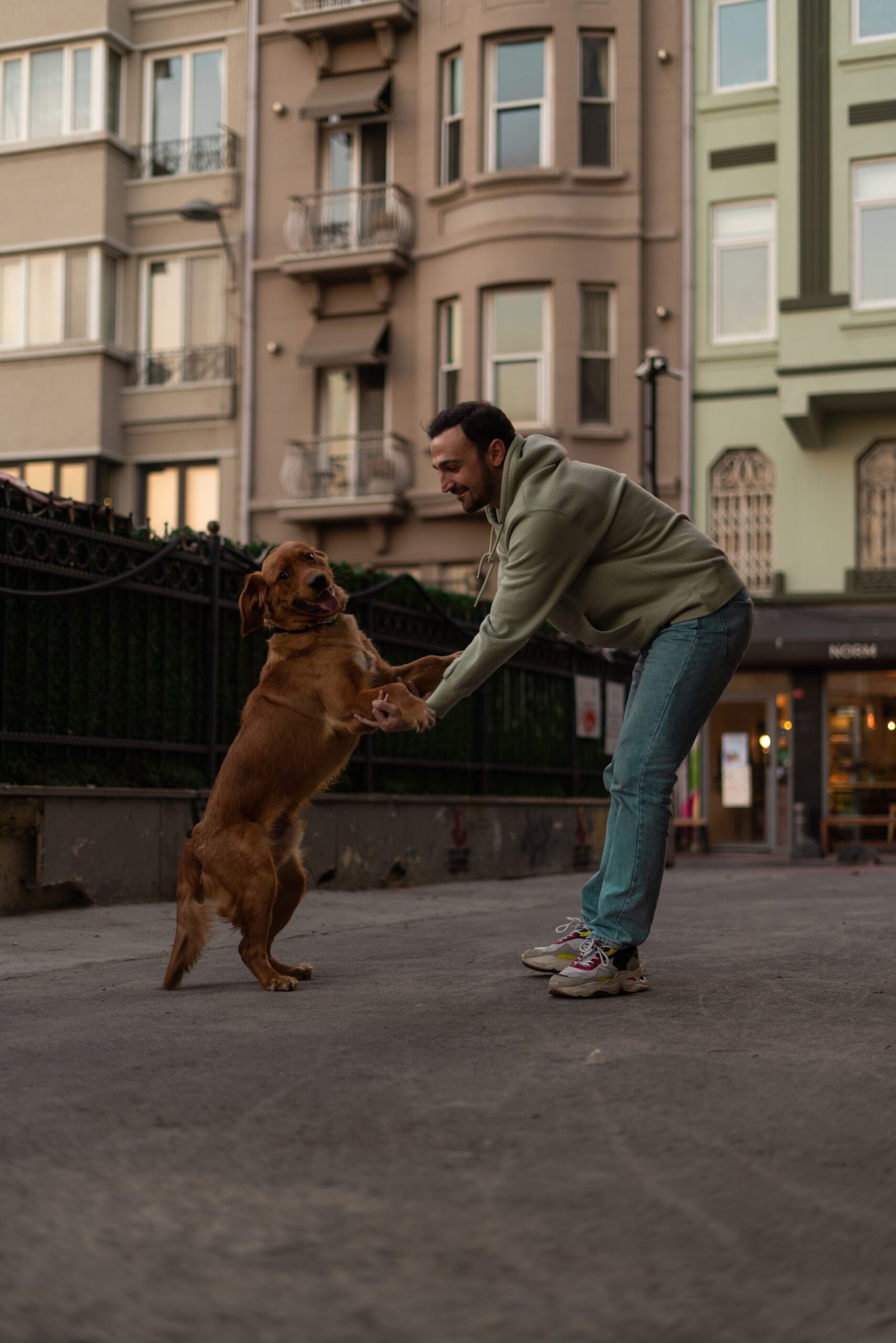 Perro jugando feliz en el patio con su dueño